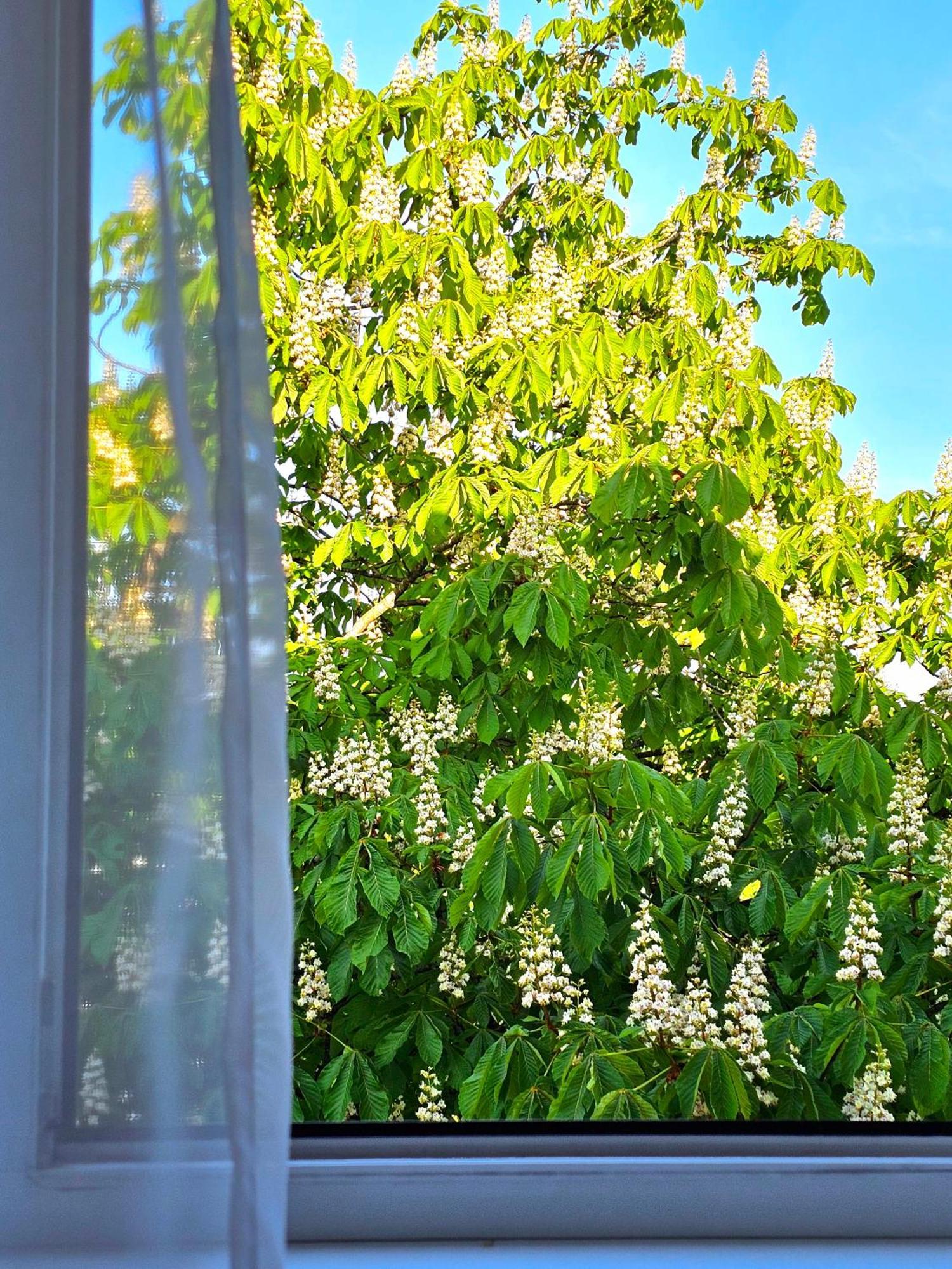 Apartamentai 76 Druskininkai Bagian luar foto